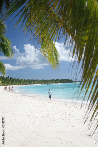 Fototapeta Naklejka Na Ścianę i Meble -  Paradise: Tropical Island with Palm Trees in Caribbean Ocean