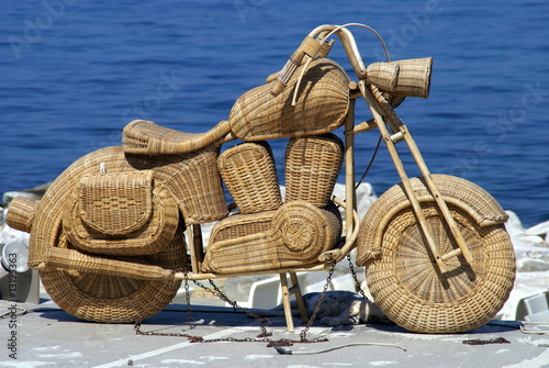 Cuadro en lienzo Moto empaillée