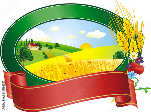 vector illustration of  landscape in summer day