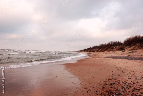 Baltic Sea shore in winter