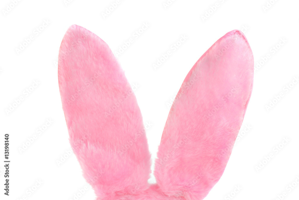 Pink Furry Bunny Ears on white with copy space
