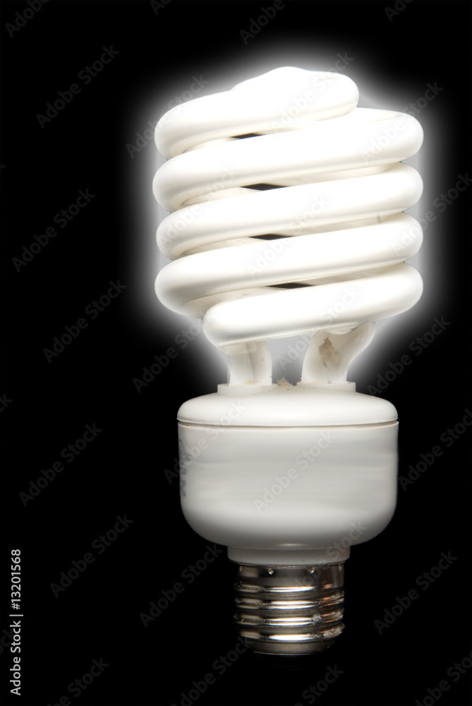 Florescent Bulb Florescent Bulb