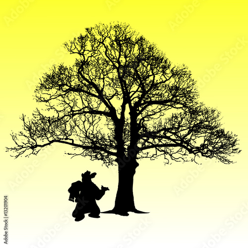 bear and tree illustration