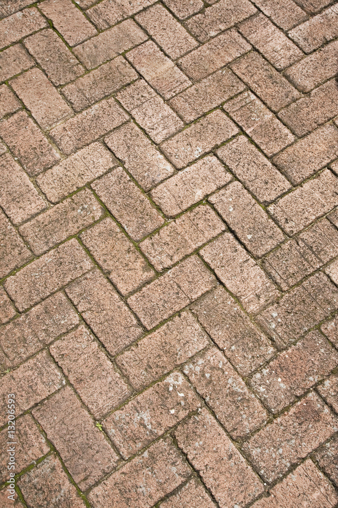 path path