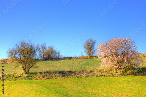 Spring images from Valladolid  Spain