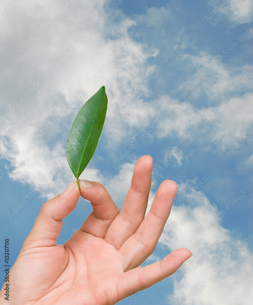 © Dmitry - Close up of hand holding leaf © Dmitry - Close up of hand holding leaf