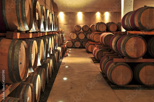 Obraz na plátně Wine barrels