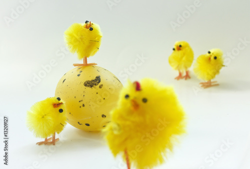 Yellow Chicken Family