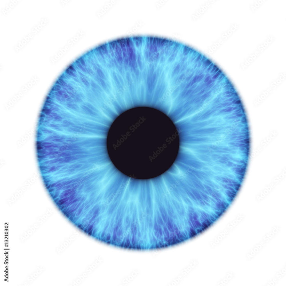 iris iris