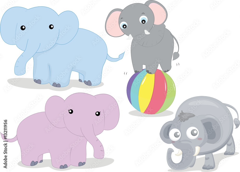 various elephants