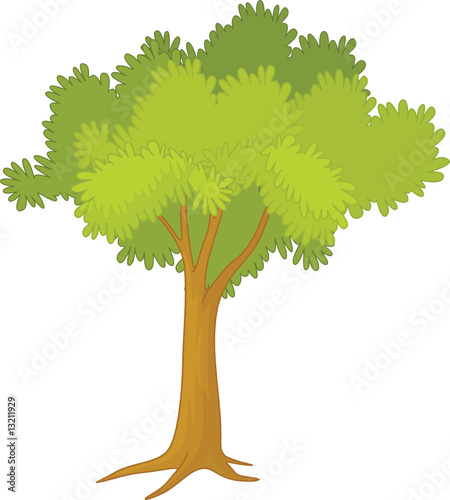 tree