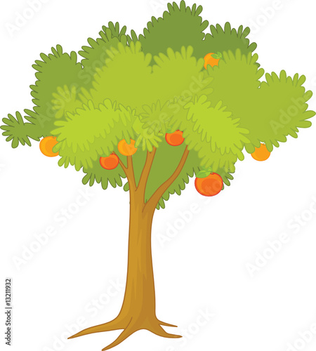 an illustration of a tree
