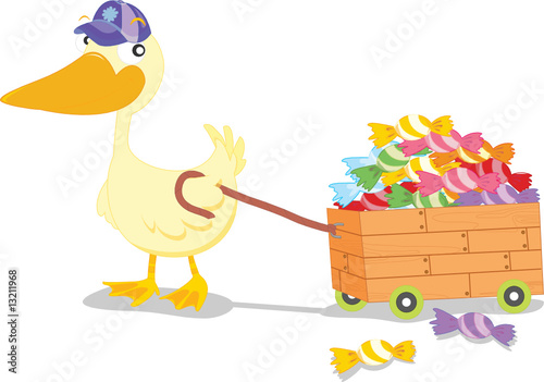a duck