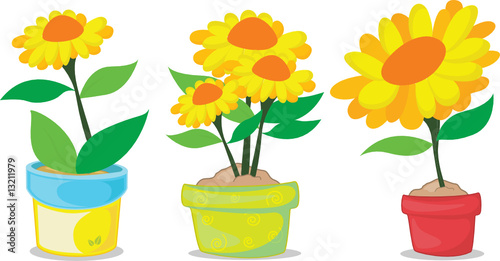 various pot plants