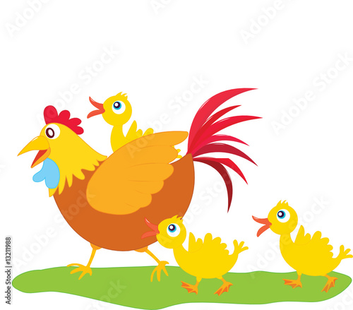 rooster and ducklings