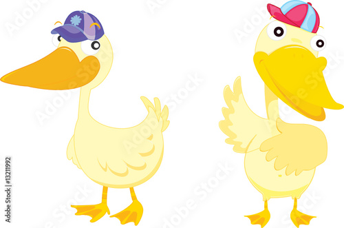two ducks