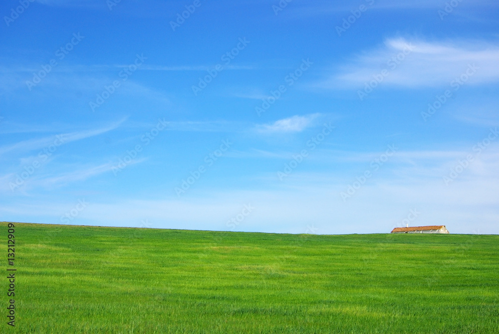 Solitary house in green field of Alentejo. Solitary house in green field of Alentejo.