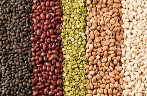 rows of beans