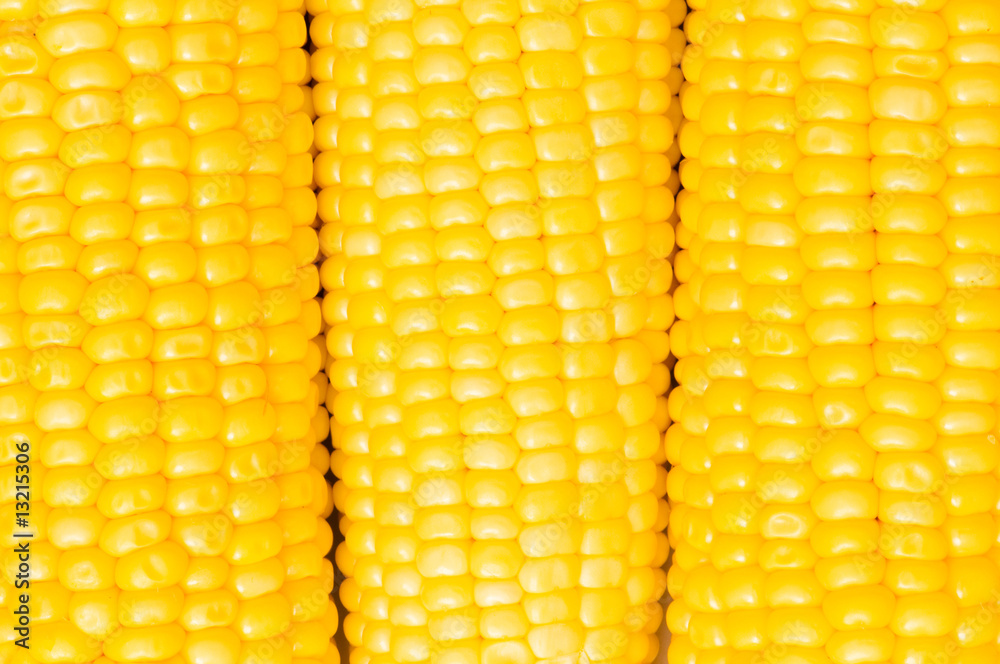 Extreme close up of yellow corn cobs Extreme close up of yellow corn cobs