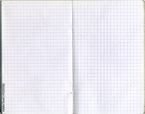 Feuilles de cahier à petits carreaux.