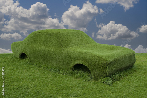 Green grass car