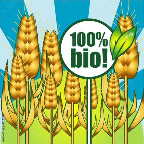 grano 100% biologico