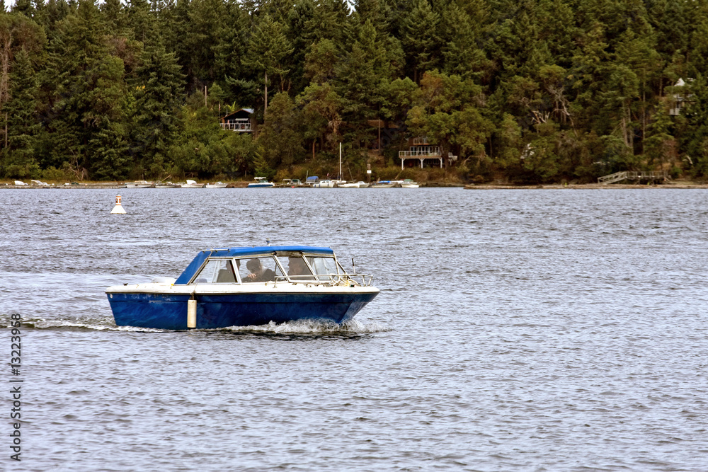 Fototapeta premium Blue Boat Speeding Past Evergreen