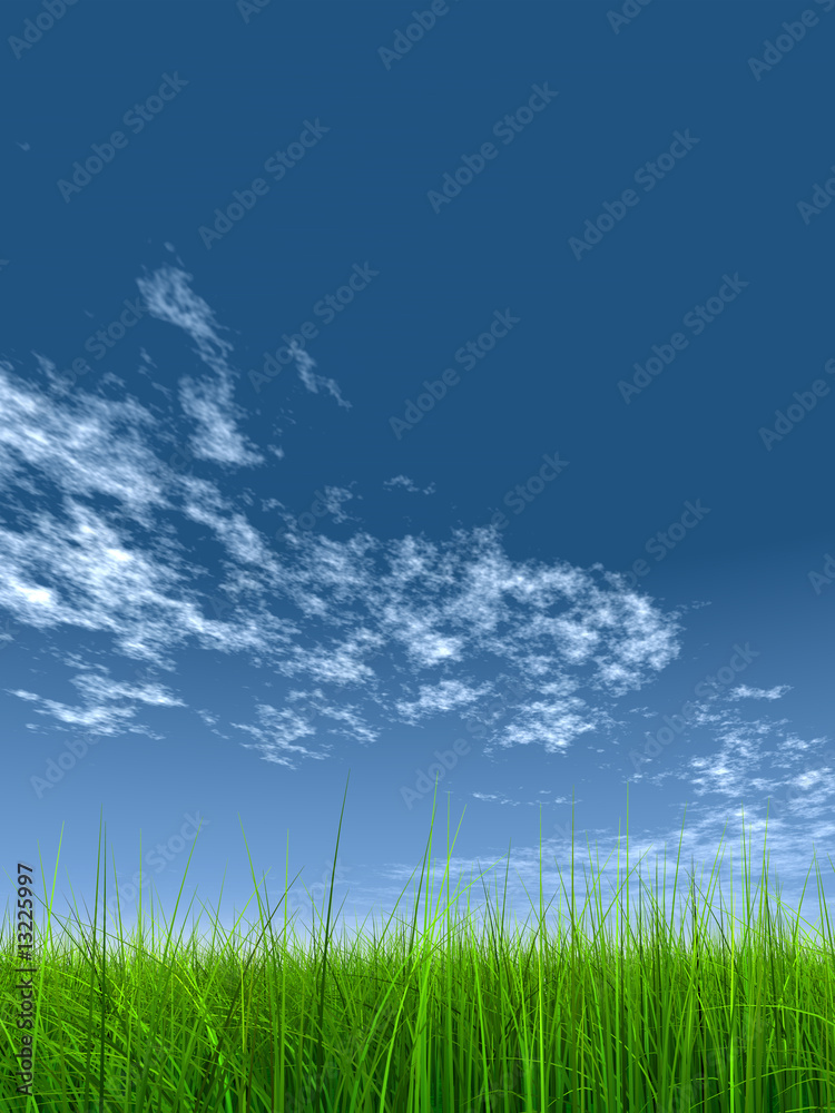 green grass over a blue sky with white clouds as background green grass over a blue sky with white clouds as background