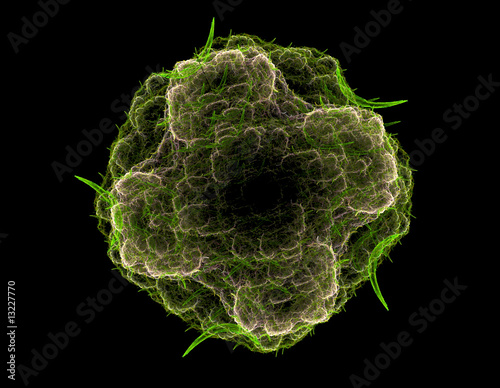 Fractal rendering of a spore or pollen particle