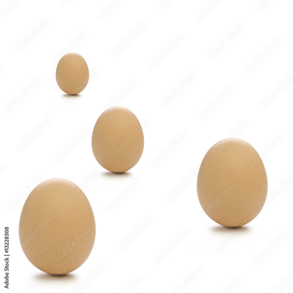 Eggs Eggs