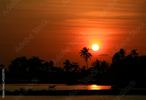 orange twilight