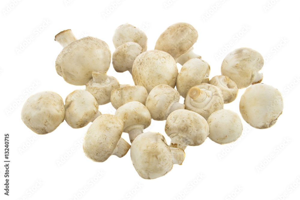 Fresh mushrooms isolated on a white background Fresh mushrooms isolated on a white background