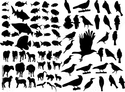 Set of animal clip art