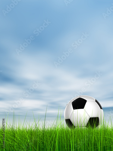 3D black soccer ball green grass and a blue sky with clouds