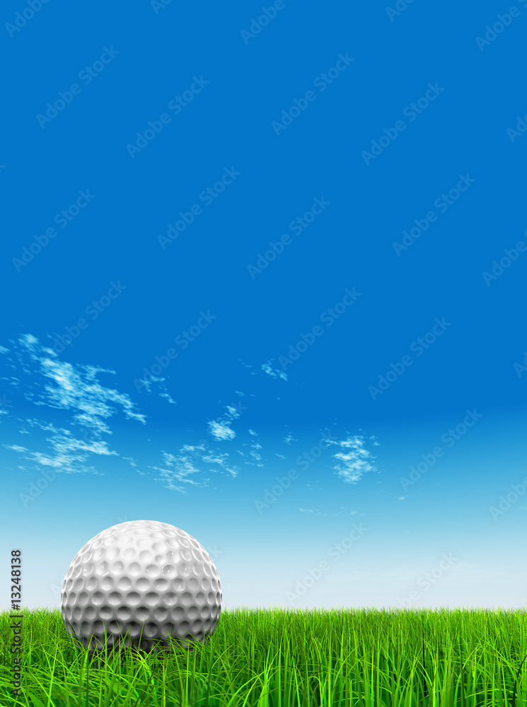 3D black soccer ball,green grass and a blue sky with clouds 3D black soccer ball,green grass and a blue sky with clouds