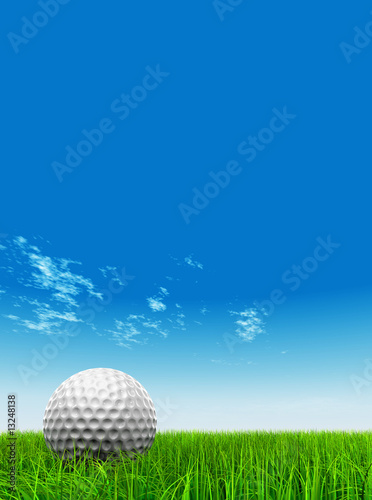 3D black soccer ball green grass and a blue sky with clouds