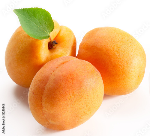 Apricot on white #13250543
