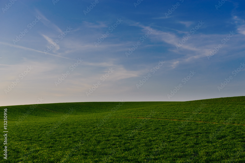 blauer Himmel grünes Feld