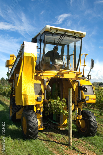Photos Grape Harvester