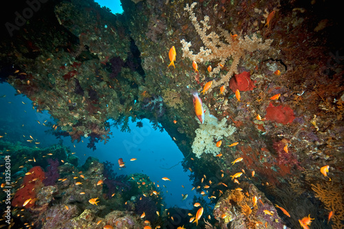 parts of the stern of the Dunraven