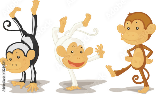 monkeys