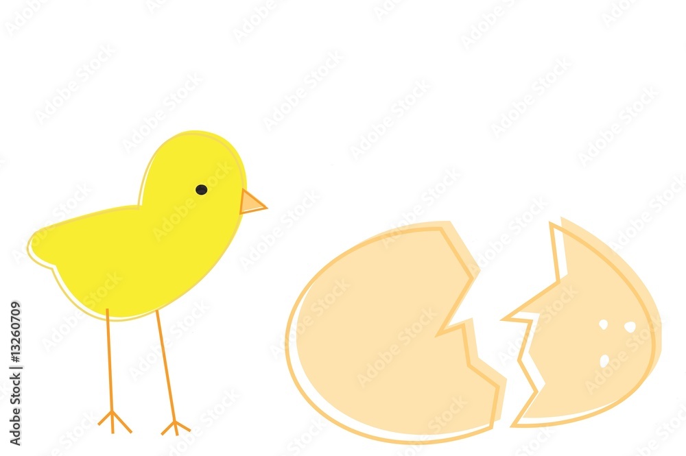 Fototapeta premium Le petit poussin