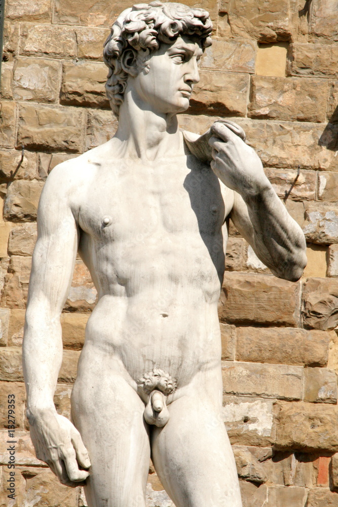 Fototapeta premium Florenz, David von Michelangelo, Piazza d.Signoria,Toskana