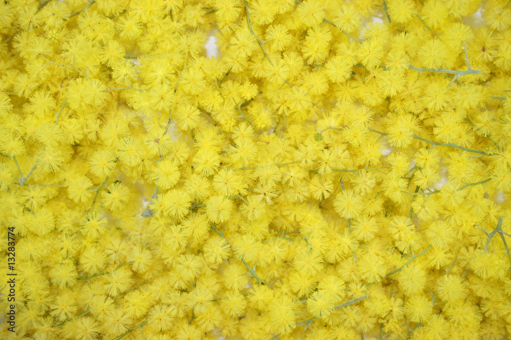Fleur texture cheap
