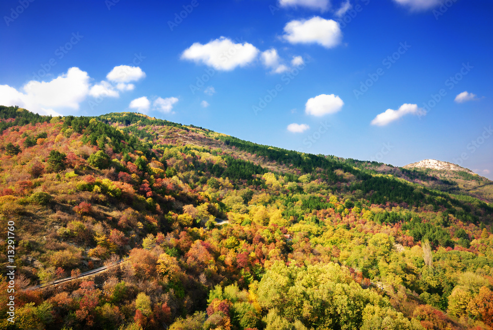 Colorful Autumn mountain