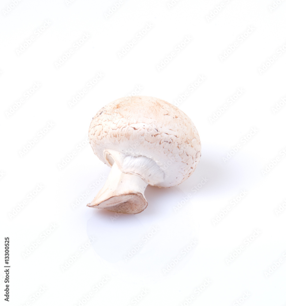 Mushroom Mushroom