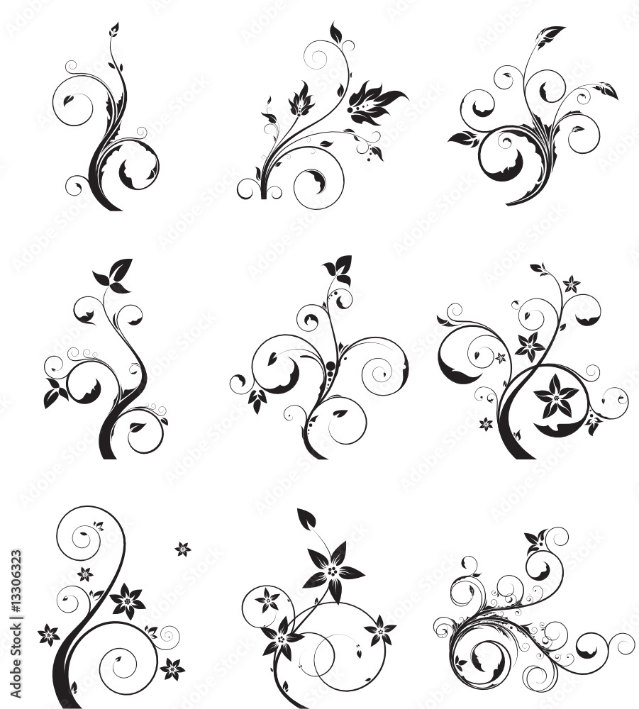 Vector floral set Vector floral set