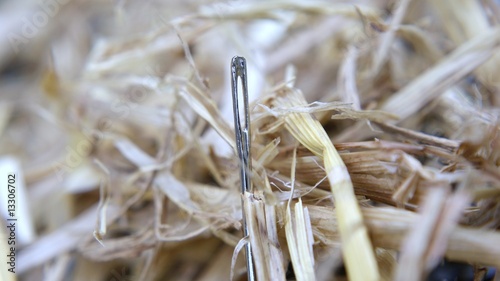 Needle in a haystack photo