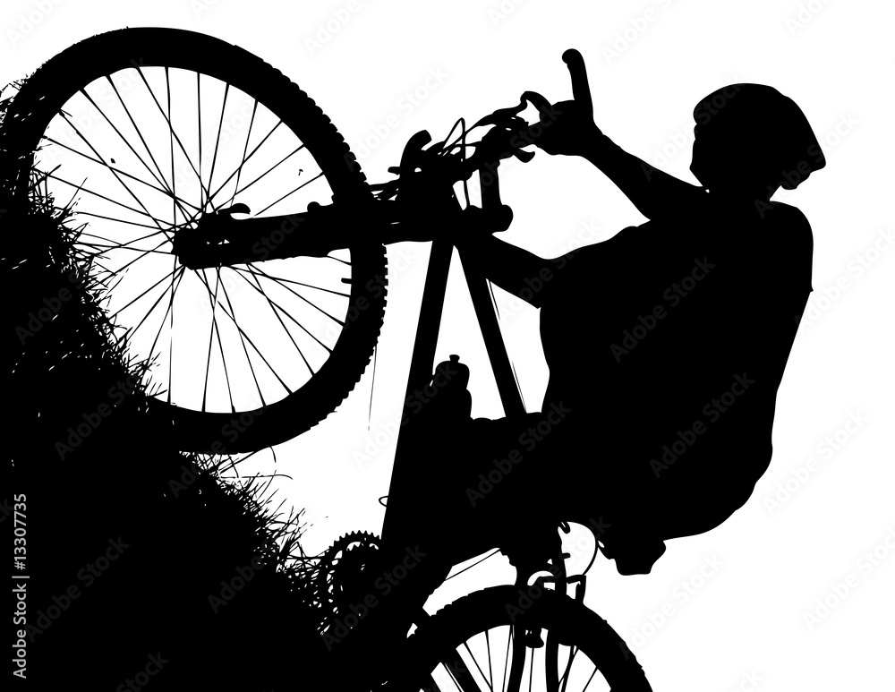 Obraz premium velo