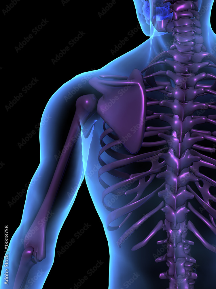 X-ray illustration of male human body and skeleton Stock Illustration ...
